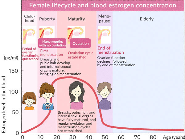 The effect of hormonal changes on the body | Otsuka Pharmaceutical Co., Ltd.