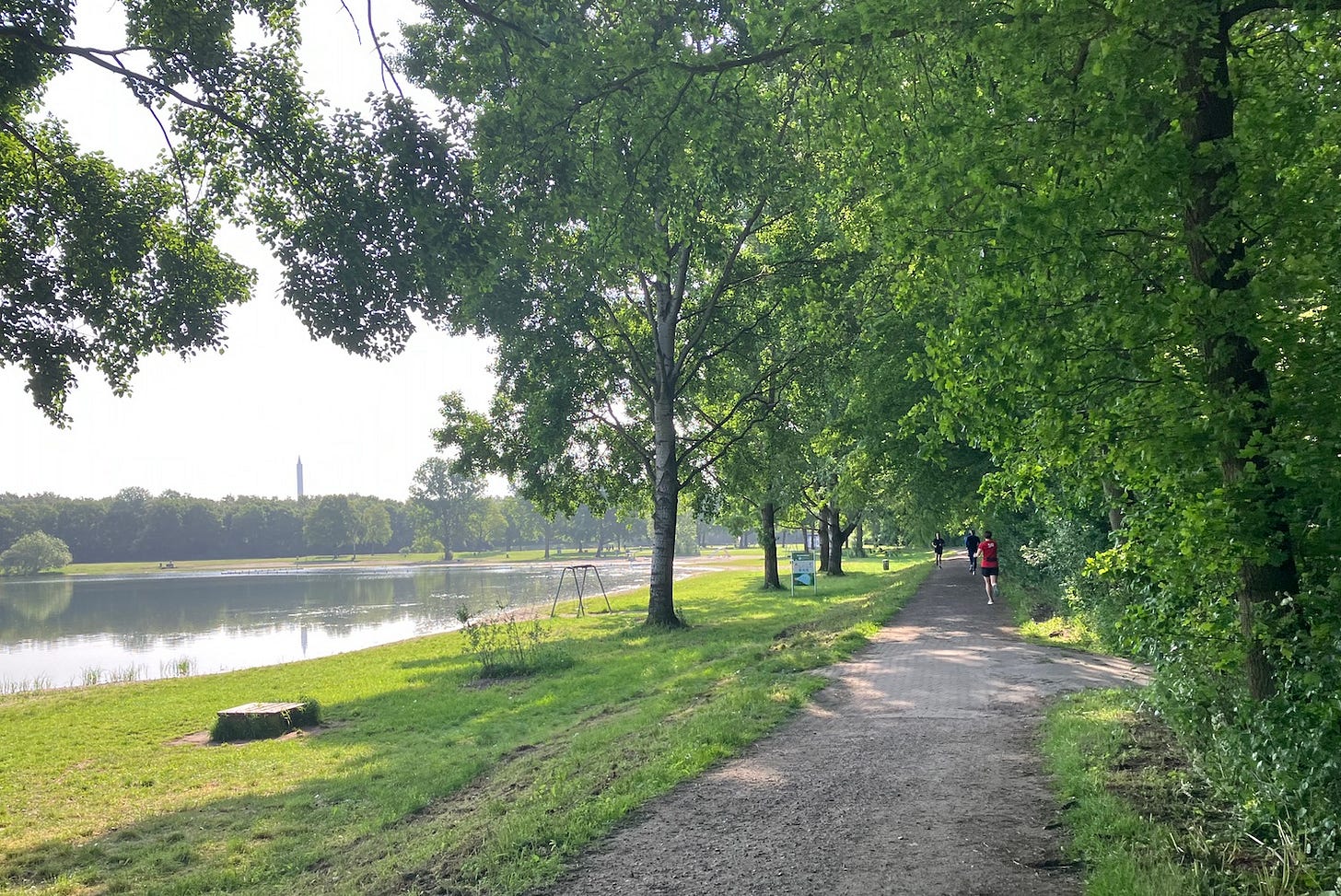 Entirely shaded path near the lake, gravel changing to tiled