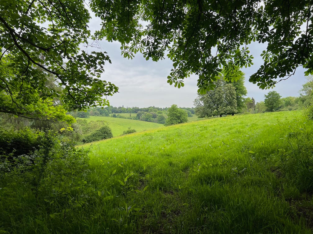 Photo by Author — a green and pleasant land