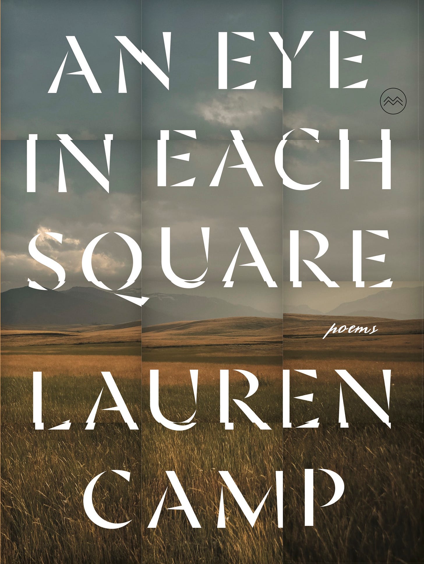 Cover of the book An Eye in Each Square: Poems, by Lauren Camp. 