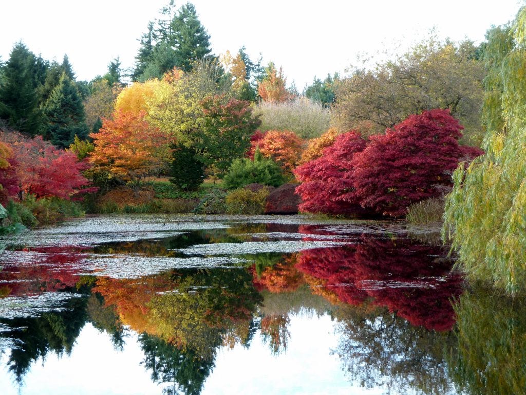 Van Dusen Botanical Garden – Attractions