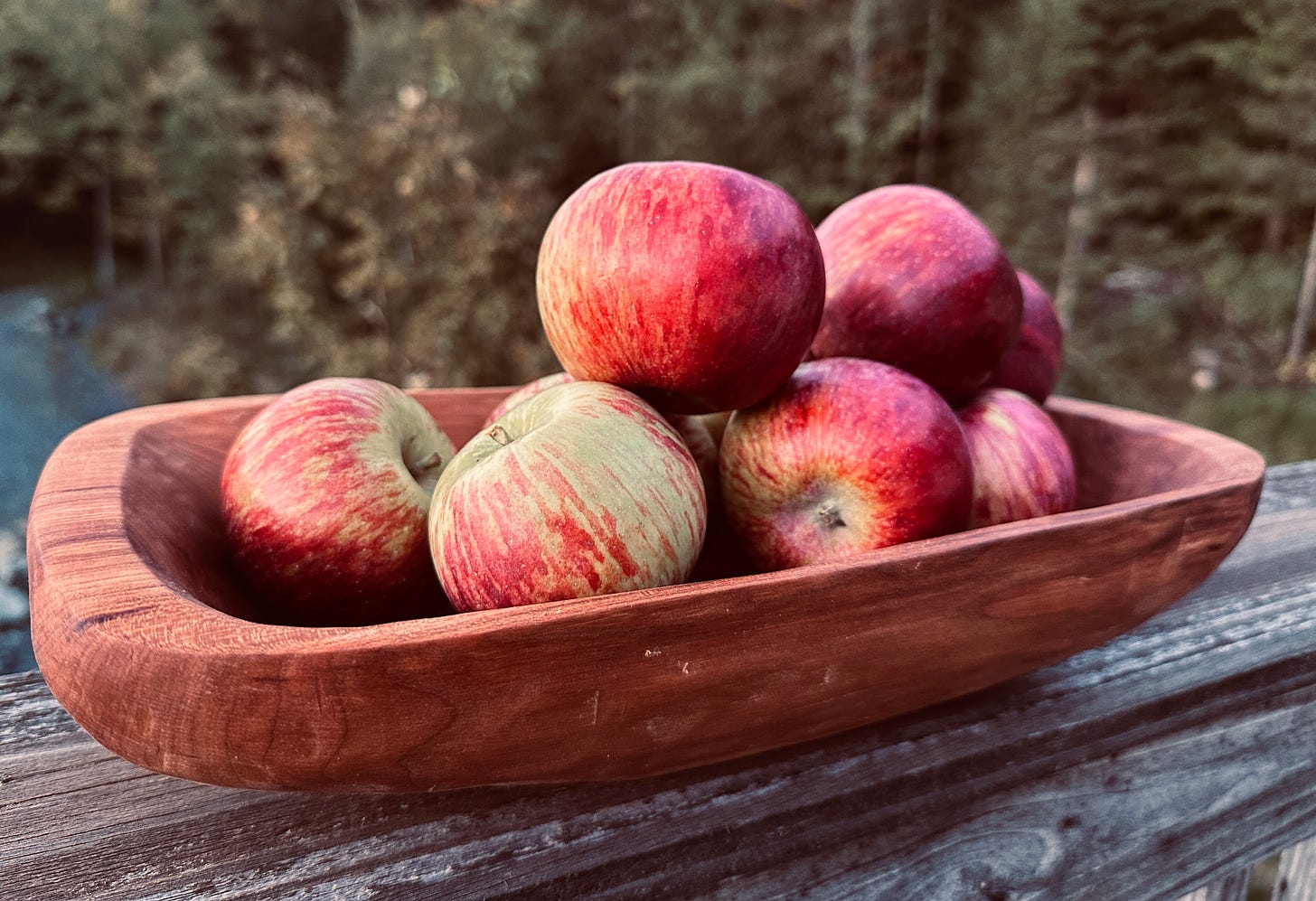 Apples in a hand-hewn bowl.