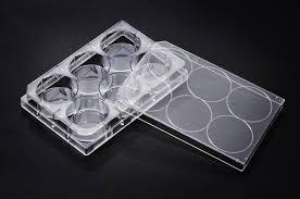 TC 6 well plate PS, 85.4×127.6×20.2mm ...