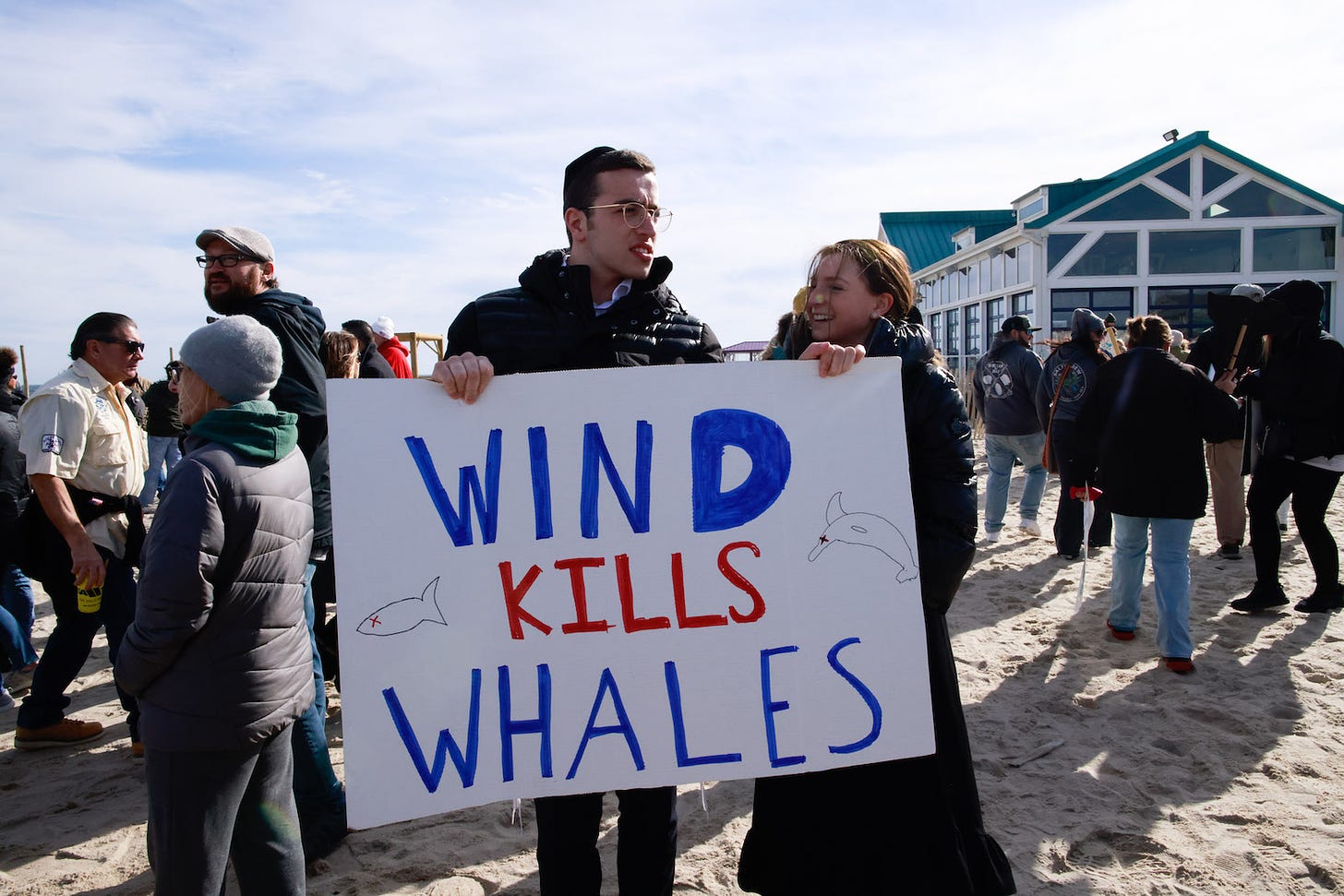 A man wearing glasses and a black jacket stands on a beach holding a hand-written poster that says "Wind Kills Whales." There is a crowd of people around him, looking away from the camera.