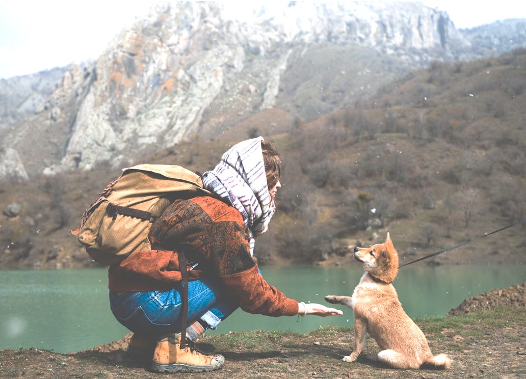 woman in red coat and blue jeans by mountain lake shaking hand to paw with brown dog