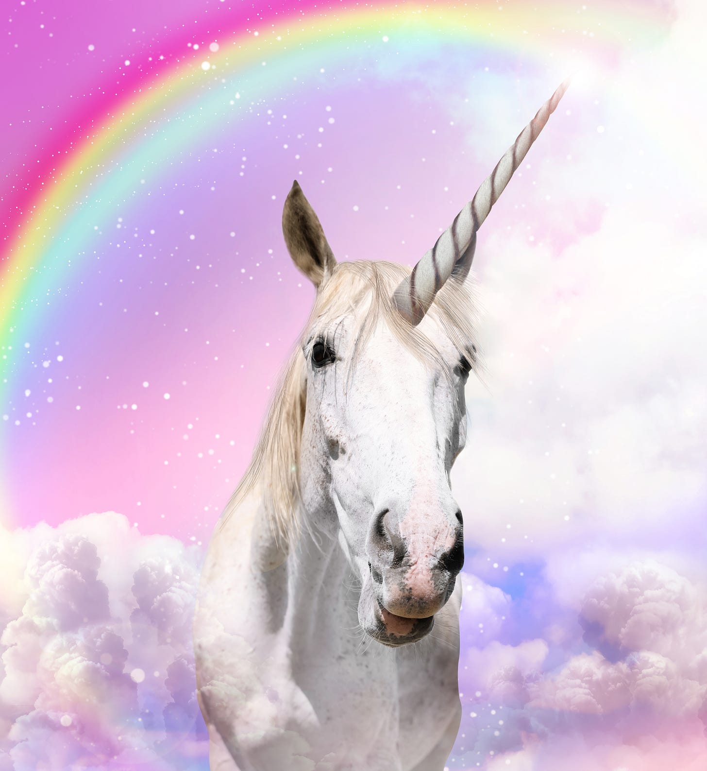 Illustration of a unicorn over which a rainbow is visible