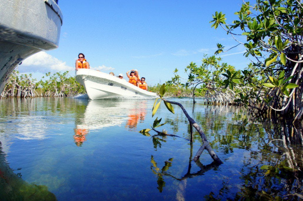A boat in the mangroves.