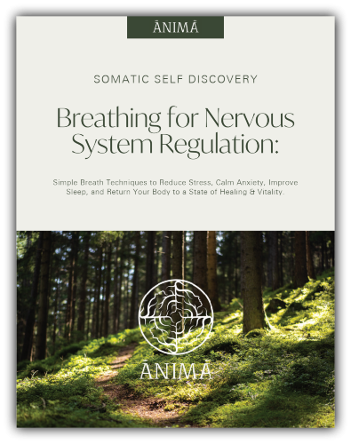 Breathing for Nervous System Regulation eBook--today's gift