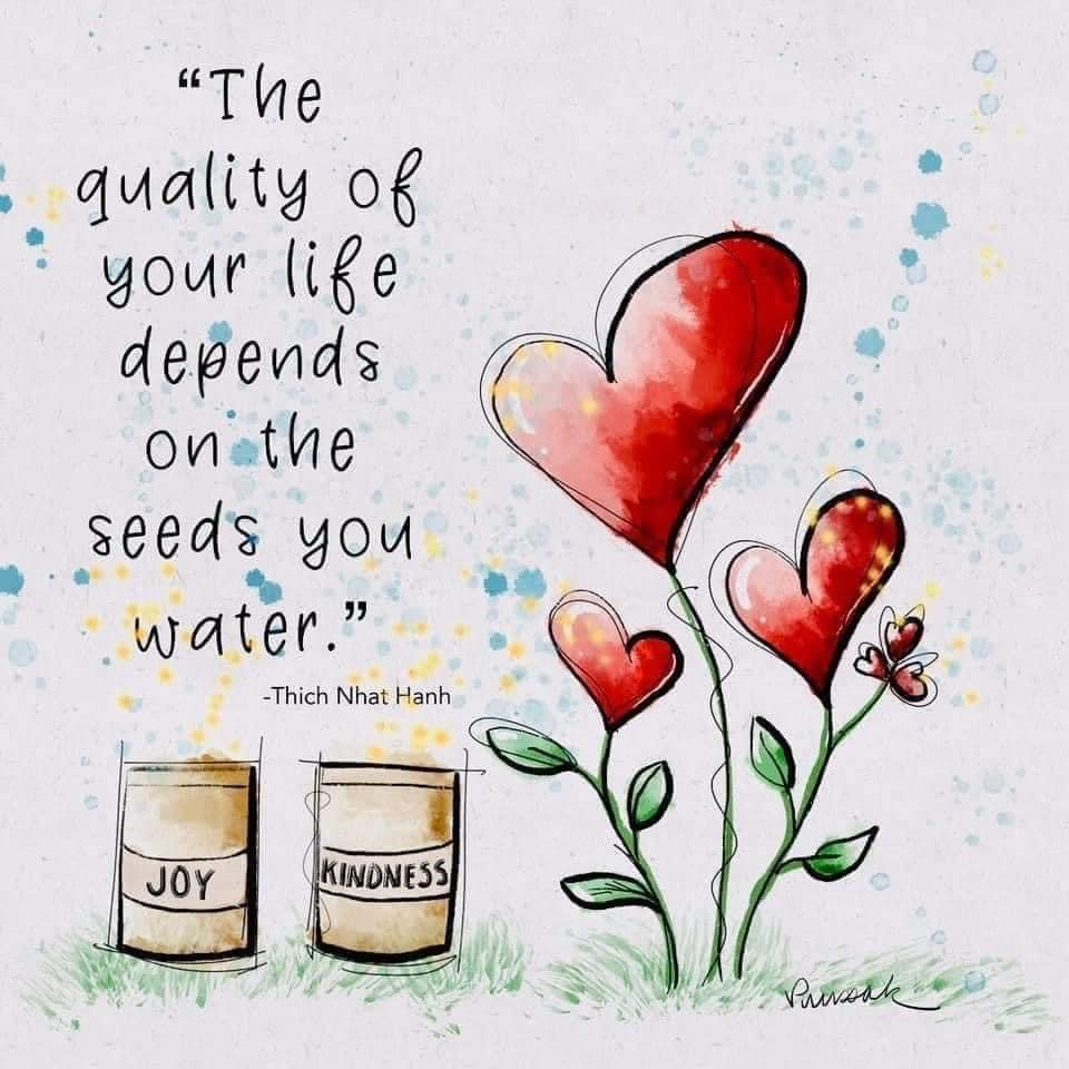 What are you watering? – Kenrick Vaz