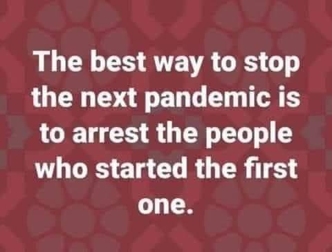 May be an image of text that says 'The best way to stop the next pandemic is to arrest the people who started the first one.'