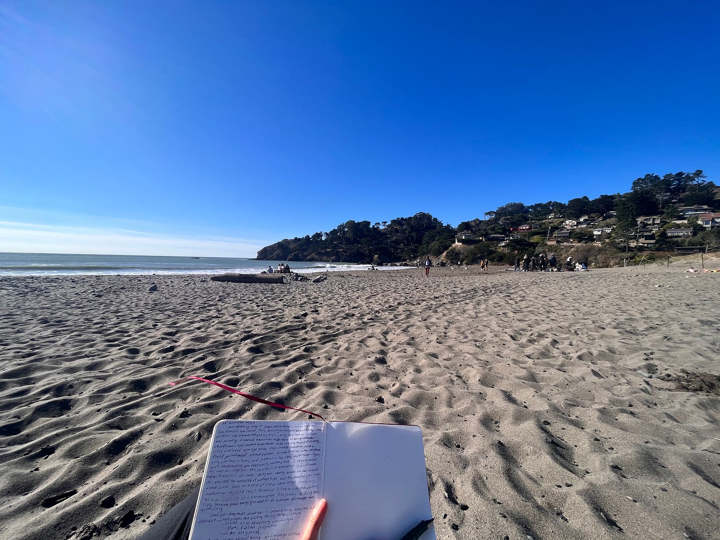 Journaling at muir beach