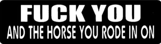 Fuck You And The Horse You Rode In On Motorcycle Helmet Stic
