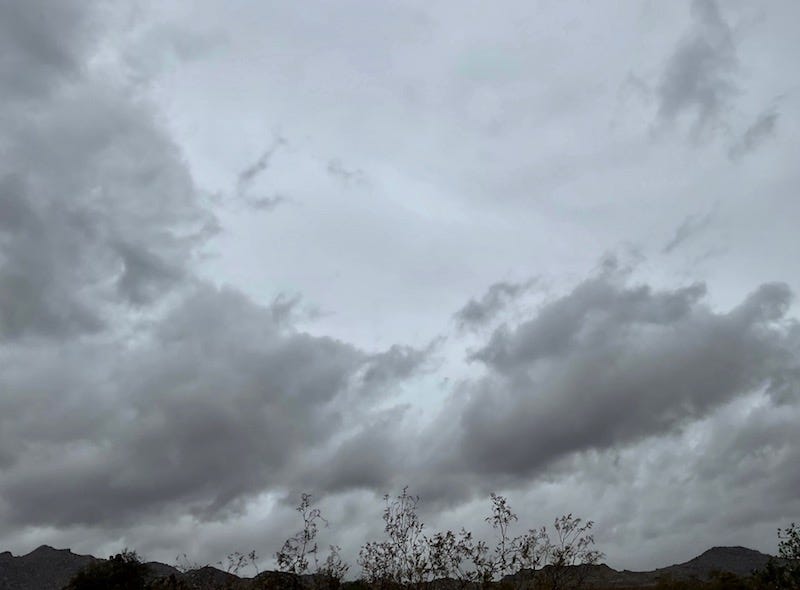 Photograph by Sherry Killam Arts with moving gray clouds filling the sky above a sparse desert landscape.