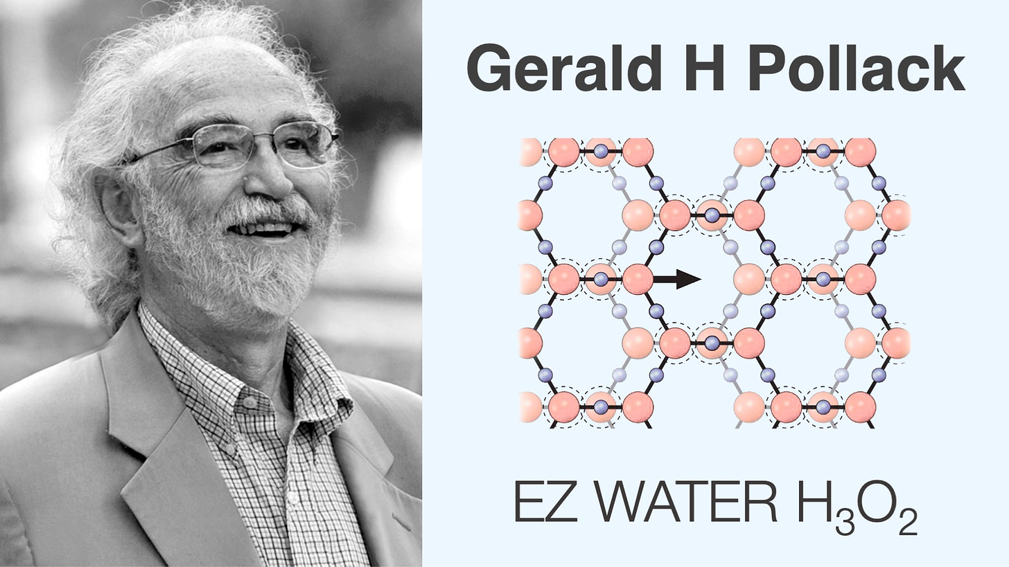 Gerald Pollack, The 4th Phase Of Water: Structured Water, 55% OFF