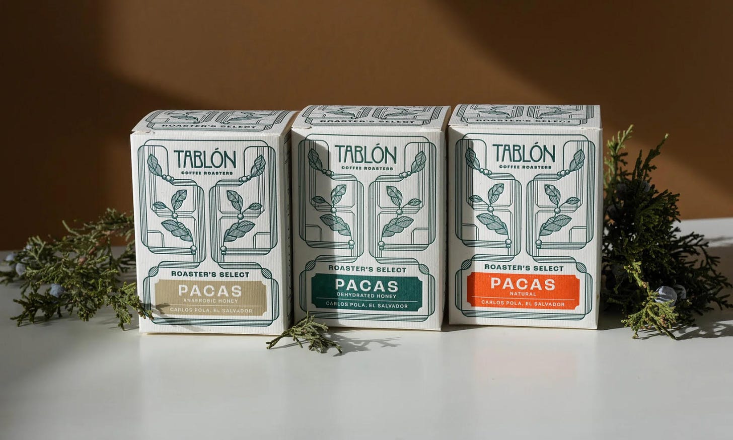 A close-up of three coffee boxes to display identical packaging with the exception being the color block behind the description. The white boxes have an intricate forest green line design framing the brand name Tablón at the top.