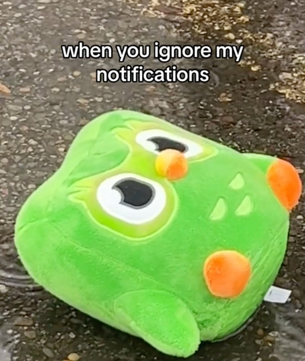 Photo of a plush toy Duo laying in rain water with text "when you ignore my notifications"