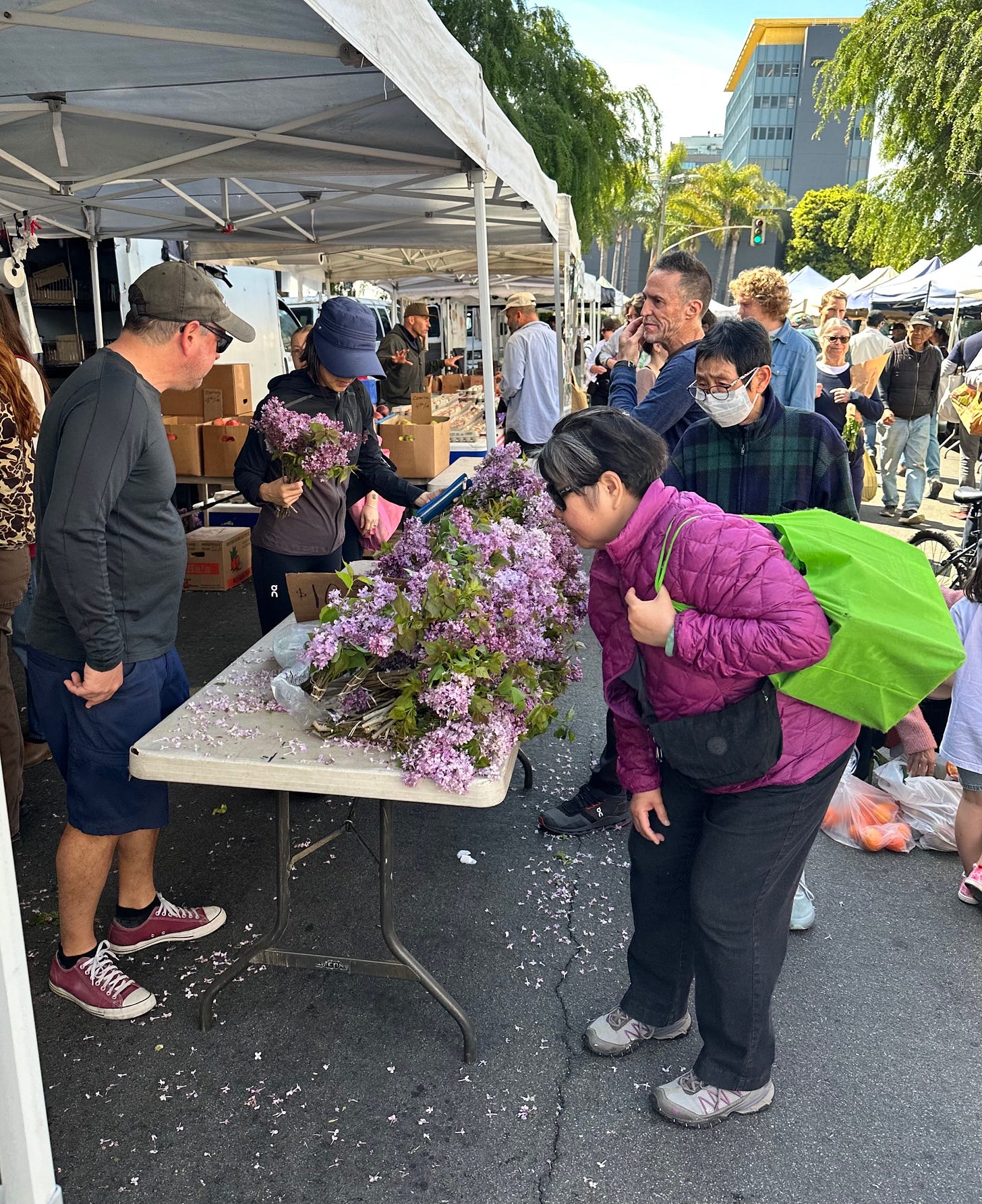 Lilacs at the Hollywood Farmers' Market
