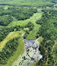 An aerial view of a wetland near a roadway