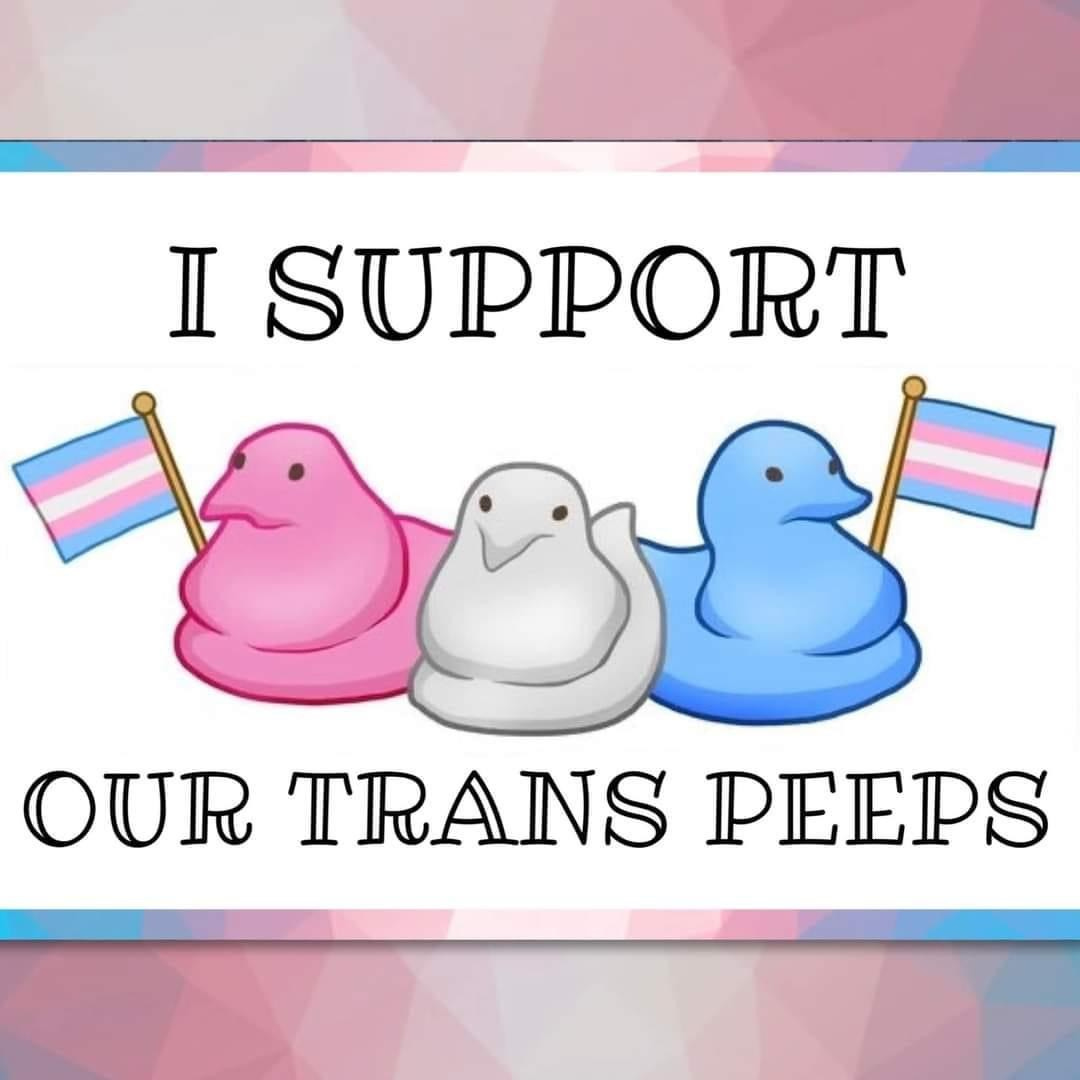 I SUPPORT OUR TRANS PEEPS