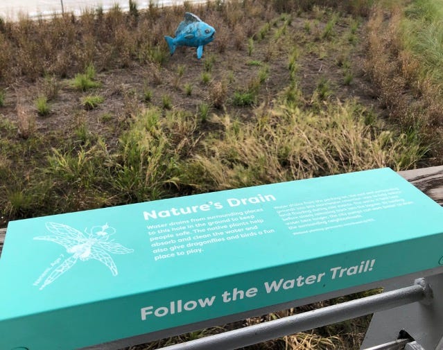 A teal-colored railing sign stands in front of a currently bioswale with scruffy-looking plants, with a small fish sculpture in it. The sign describes the swale as “Nature’s Drain” and includes the direction “Follow the Water Trail!”