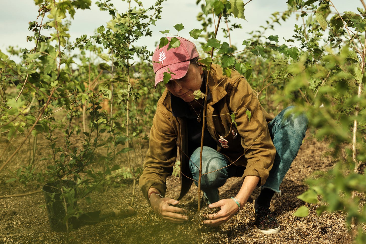 Elise Van Middelem planting in the pocket forest. Photo by Liz Seabrook.