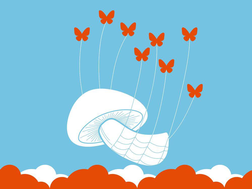 a mushroom being carried by some butterflies