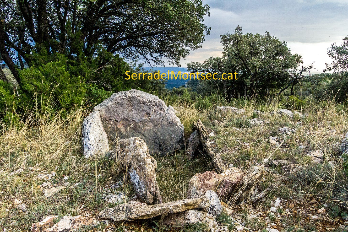 Dolmen de Sòl Joaquim, Montsec de Rúbies (o Montsec de Meià). Vilanova de Meià, a la comarca de la Noguera, Lleida, Catalunya.