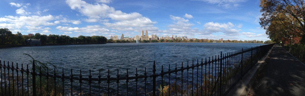 Enjoying a walk in Central Park.