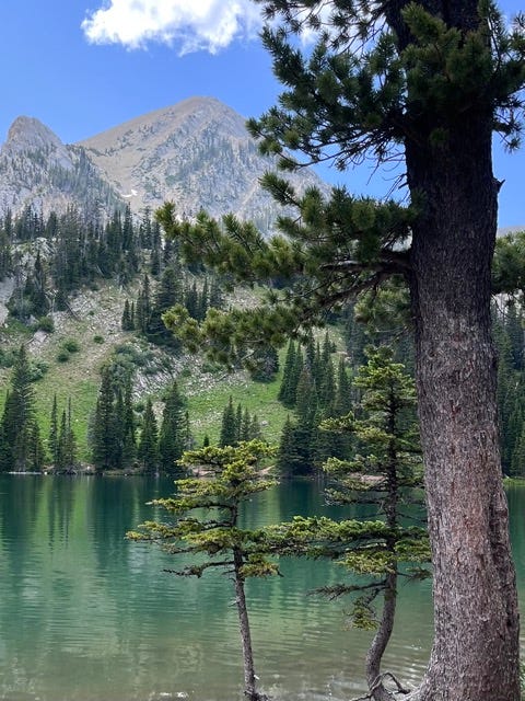 Fairy Lake MT