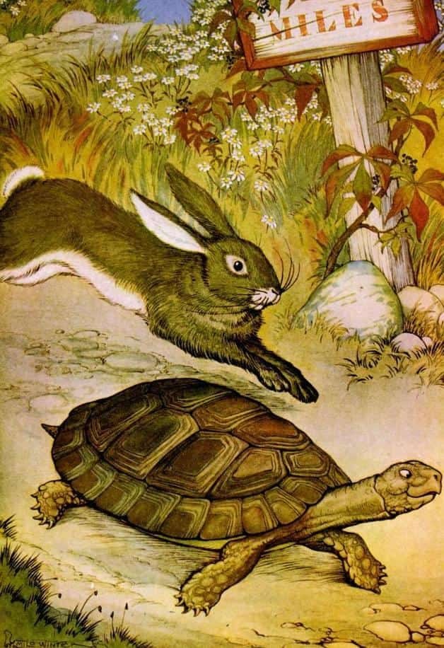 The Hare and the Tortoise | Aesop's Fables