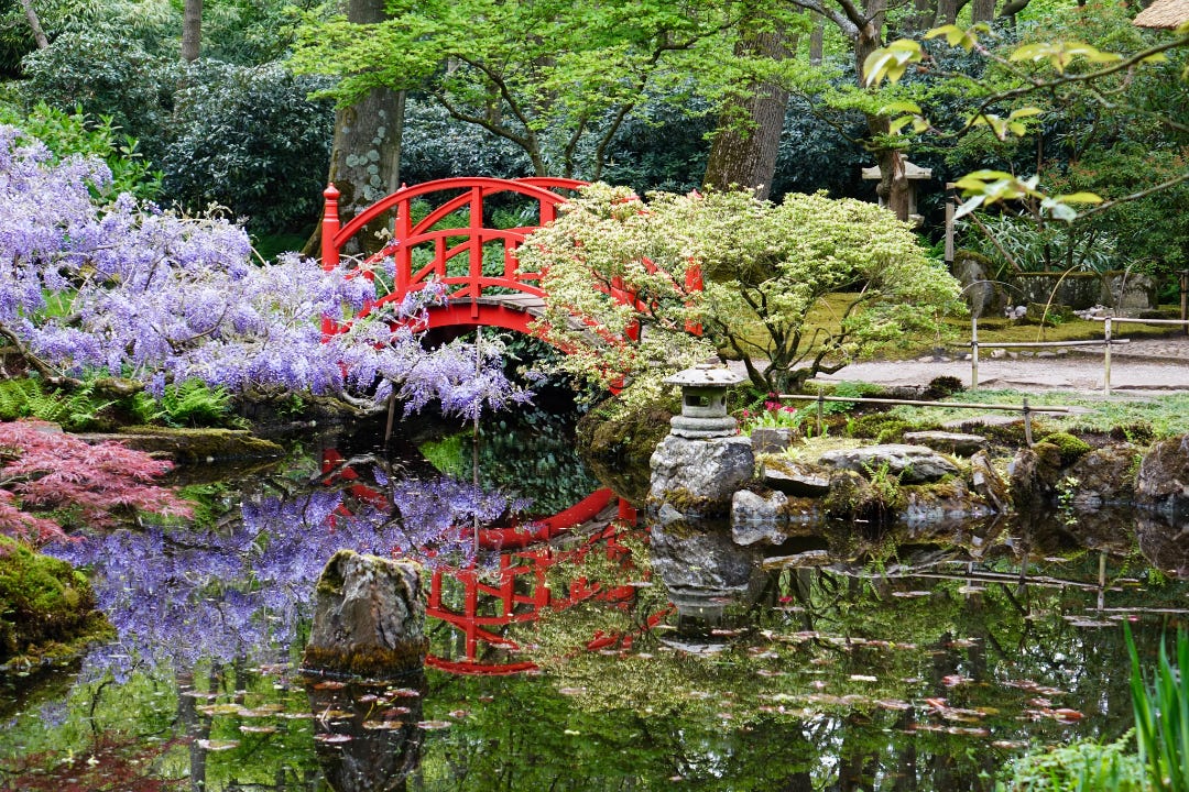 Japanese garden in spring time with all trees in bloom in different colors and an arched red bridge over a pond