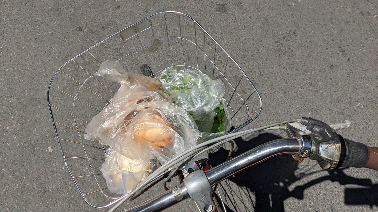 jess' bike basket