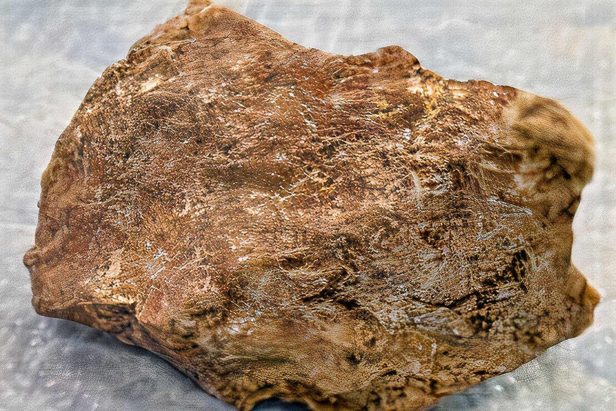 Close-up of a weathered, brown rock with rough texture and visible scratches on a neutral background.