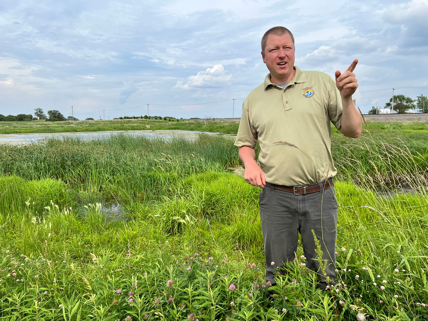 In this photo, Jason Bleich gestures as he explains how to restore a wetland. He is standing on the edge of a wetland in the midst of tall wetland plants that include grasses and flowers. The sky is blue and cloudy.