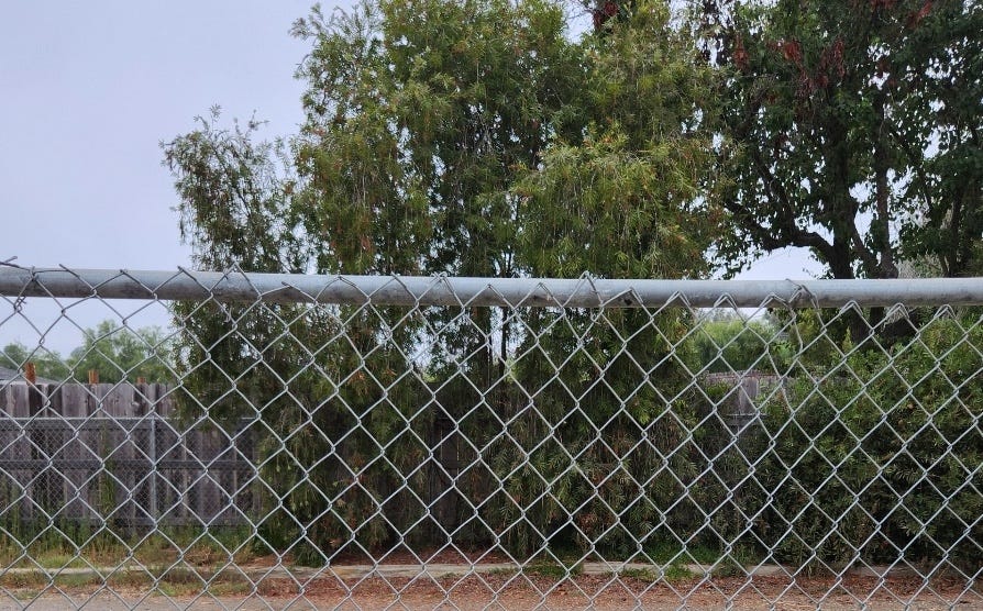 This is the view from Phyllis Laderman’s property looking into the site of a proposed battery storage facility in Eden Valley near Escondido. Photo courtesy of Phyllis Laderman.