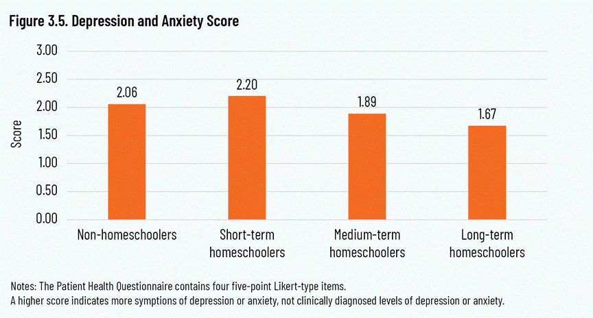 Figure 3.5. Depression and Anxiety Score