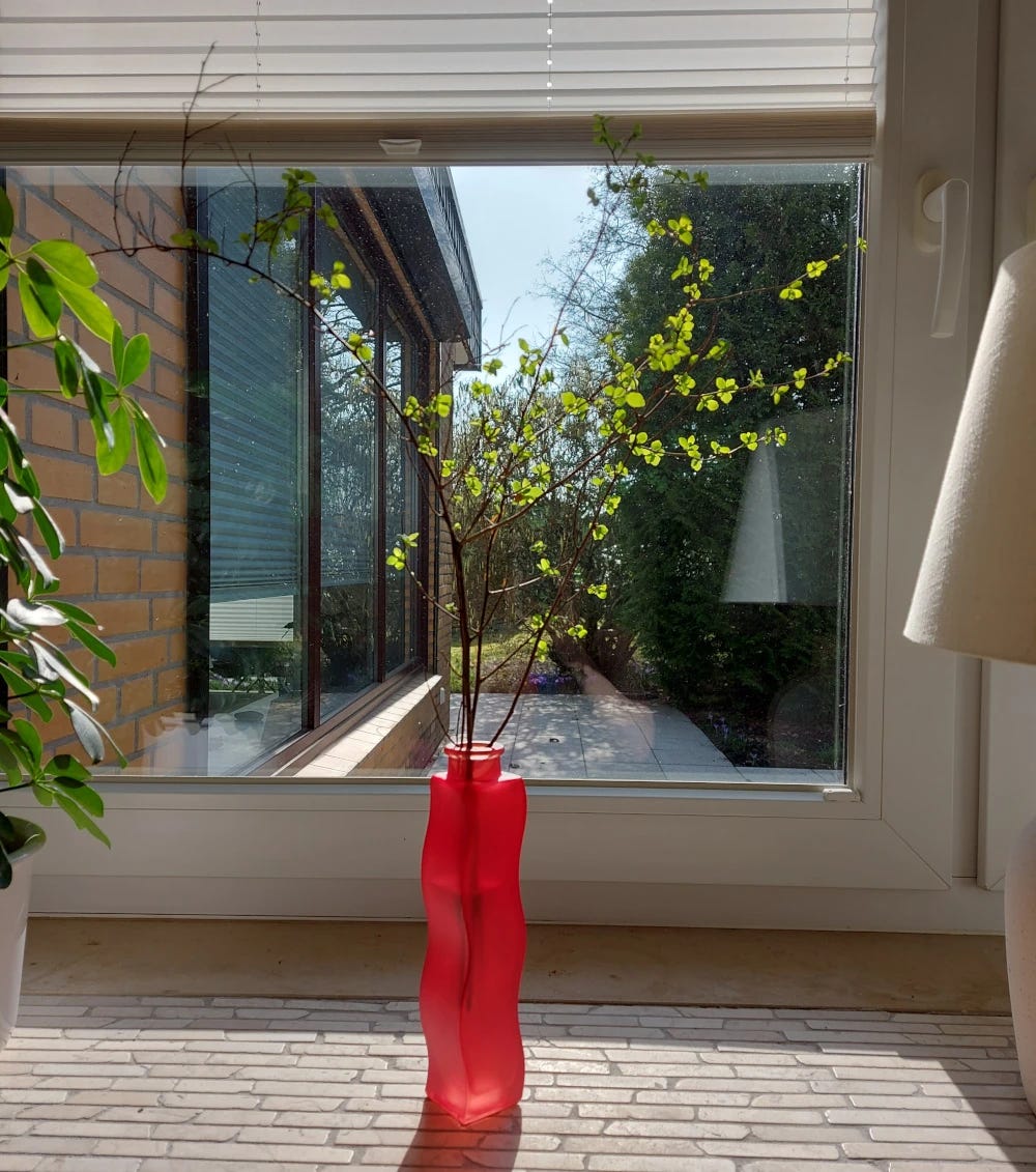 Branch of asian meadowsweet with leaves in a red vase on a windowsill