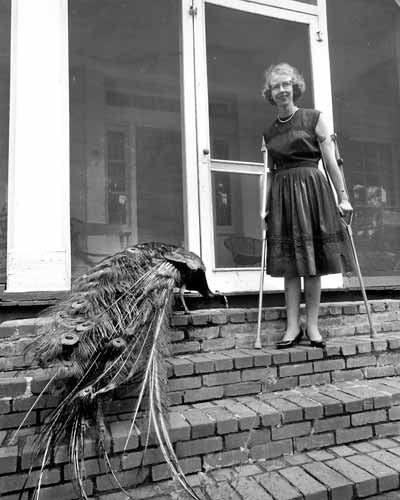 Literary South: Flannery O'Connor - This Is My South