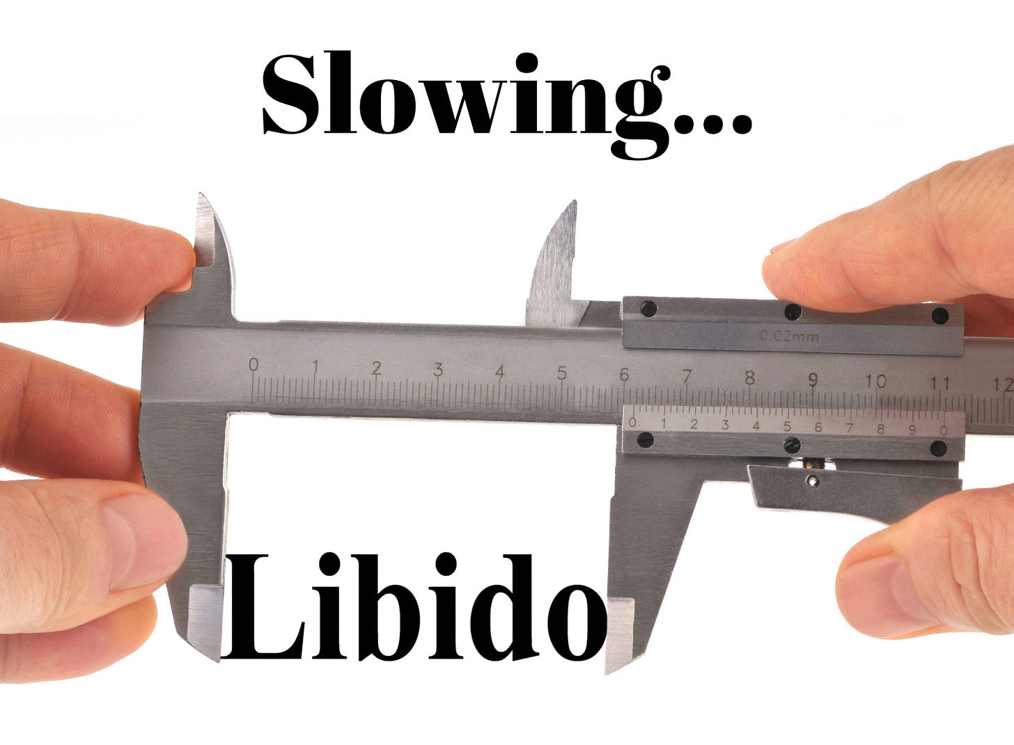 Measuring rule with the word Slowing above the word Libido.