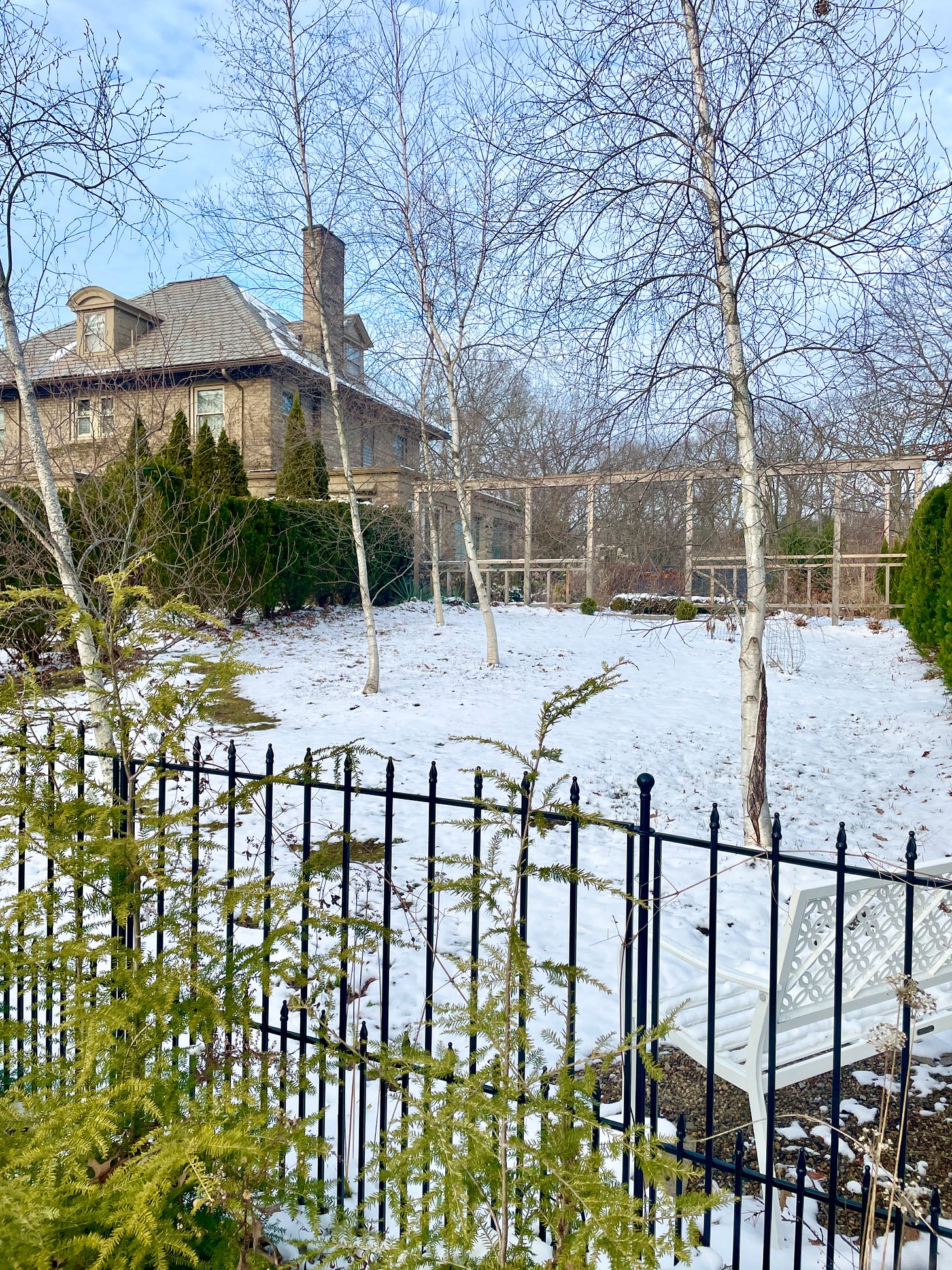 After: View from the street of our Trellis Wall in the snow at the top of the Birch Walk