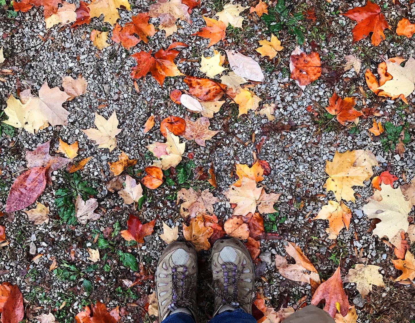 Feet in sneakers standing on gravel with autumn leaves all around