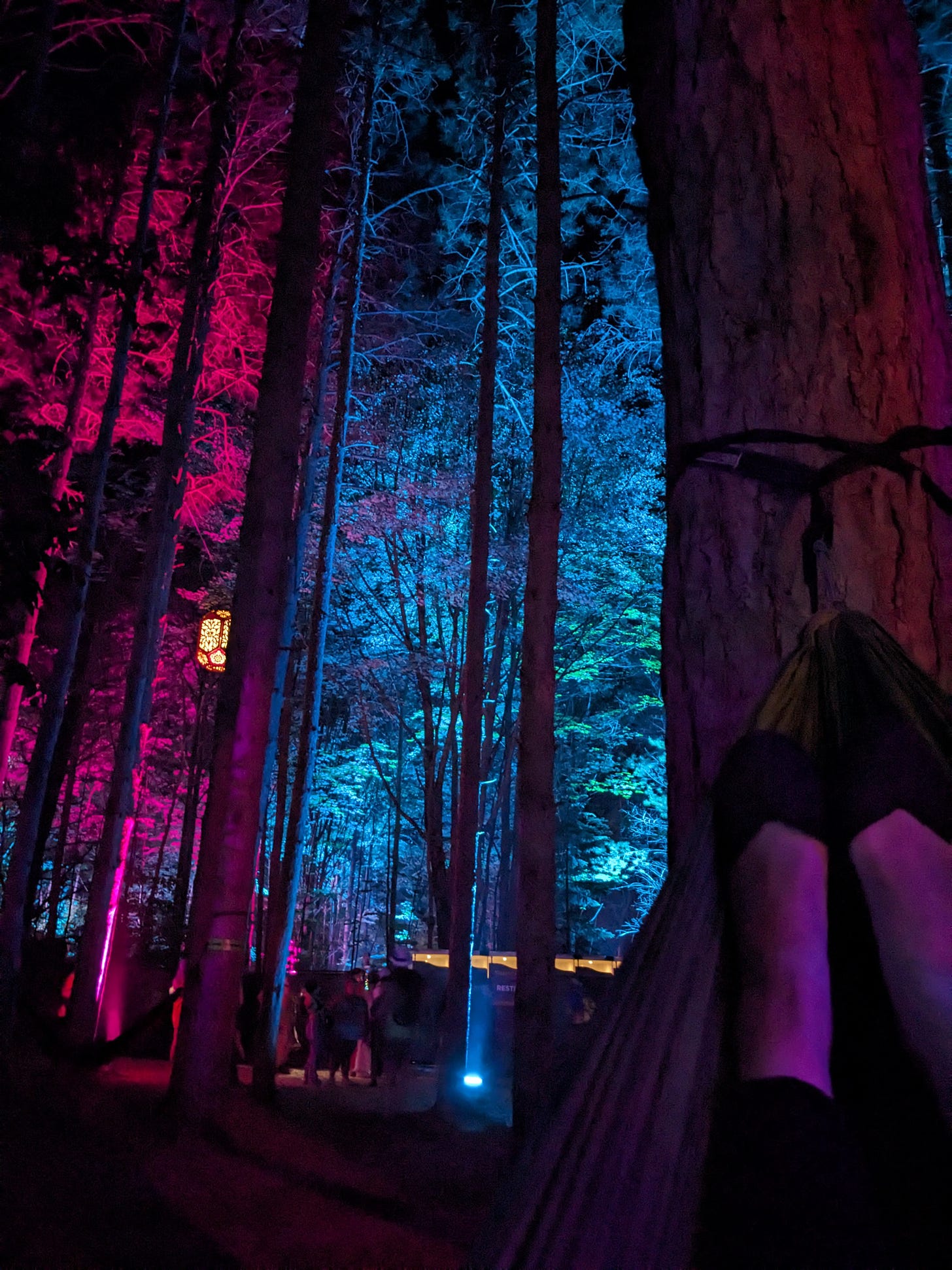 in the forest at night with branches lit from below by multicolored lights, and in the foreground the end of a hammock tied to a tree trunk with my dirty slipper-clad feet propped up