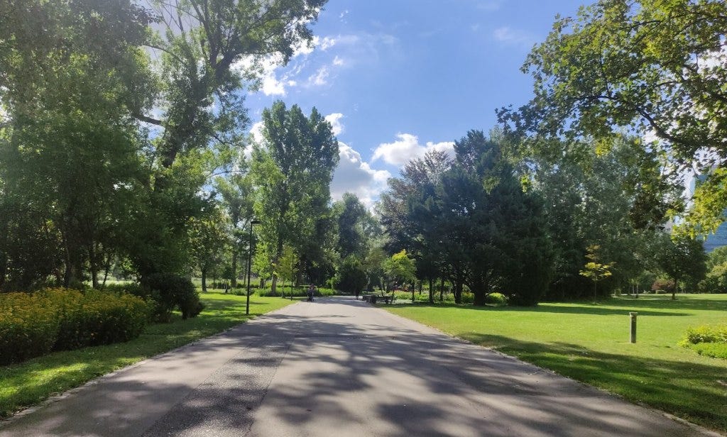 A wide path, with trees and mowed grass on either side