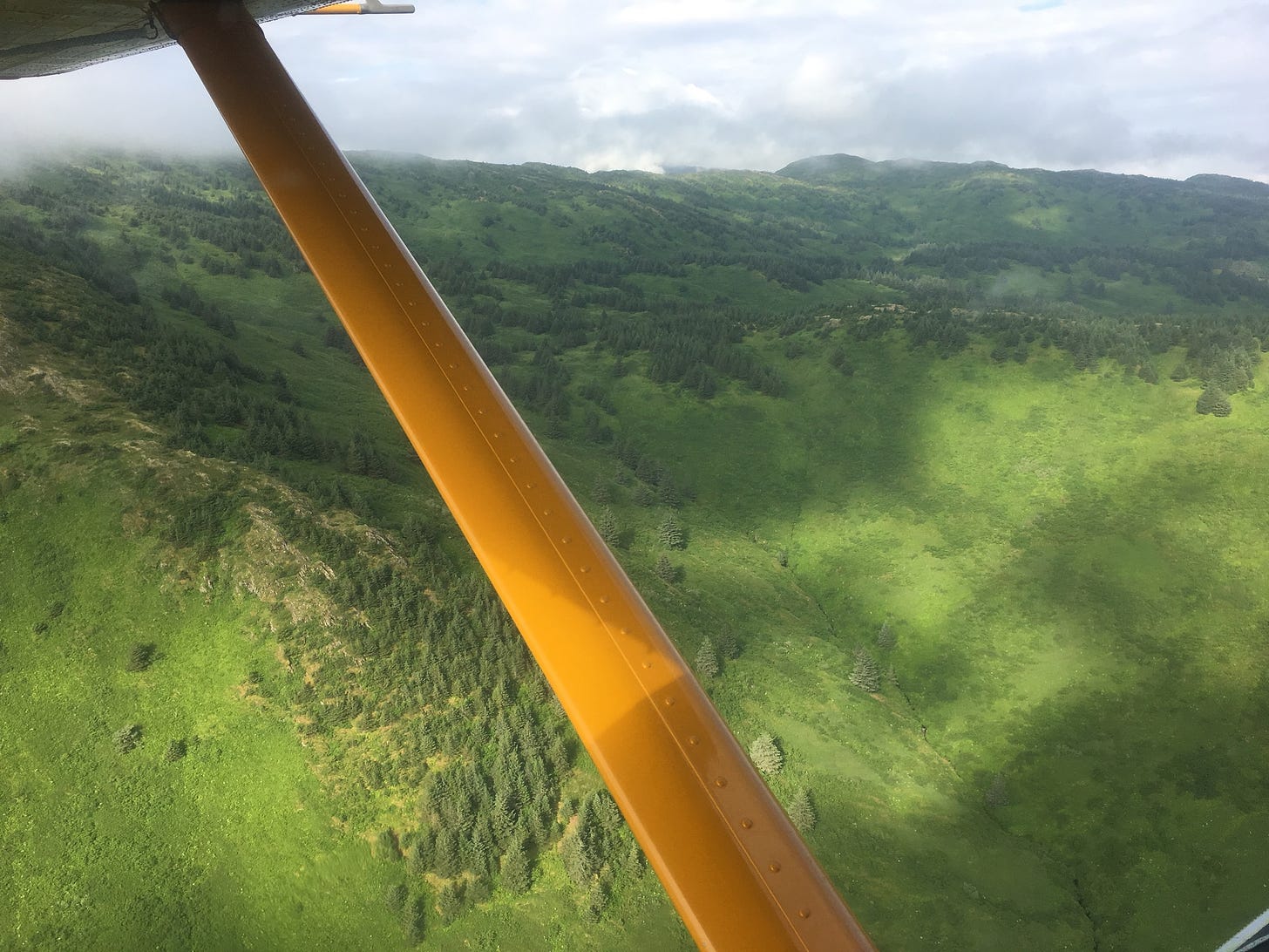 View out the window of a small plane at green landscape.