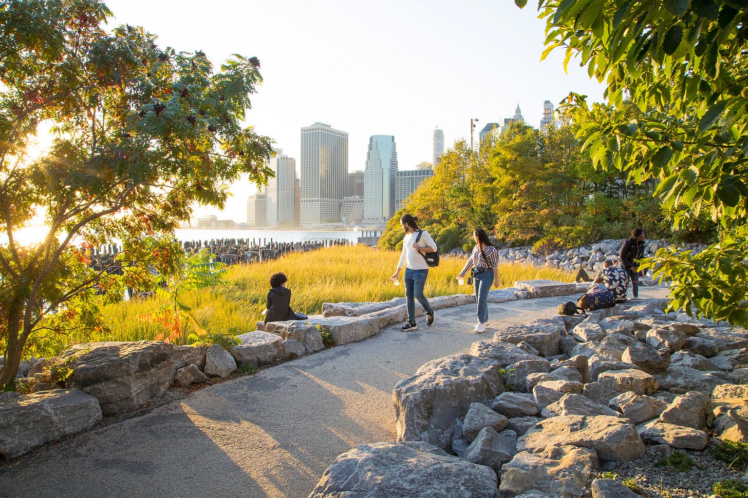 Michael Van Valkenburgh Associates Inc | Brooklyn Bridge Park