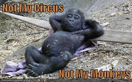 Not My Circus Not My Monkeys - Animal Comedy - Animal Comedy, funny  animals, animal gifs