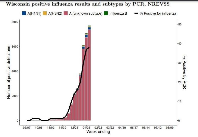 May be an image of text that says 'A(H1N1) 8000 Wisconsin positive influenza results and subtypes by PCR, NREVSS A(H3N2) A (unknown subtype) Influenza B % Positive for influenza 50 40 Penenon 6000 Positive posiive 4000 O Number 2000 % 30 Positive 오 PositivebyPC PCR 20 09/07 10/05 10 11/02 11/30 12/28 01/25 02/22 03/22 Week ending 04/19 05/17 06/14 07/12 08/09'