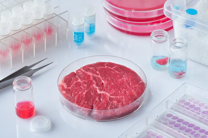 Lab-grown meat's promise for cutting climate… | Oxford Martin School