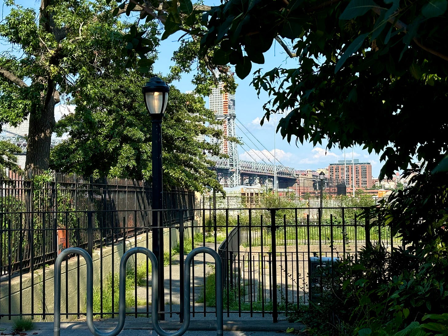 A small park. Lush trees surround a fenced in play area. There is a lamppost to the left of it. In the disance, the condos carrying the name of Domino Sugar rises over the Williamsburg Bridge.