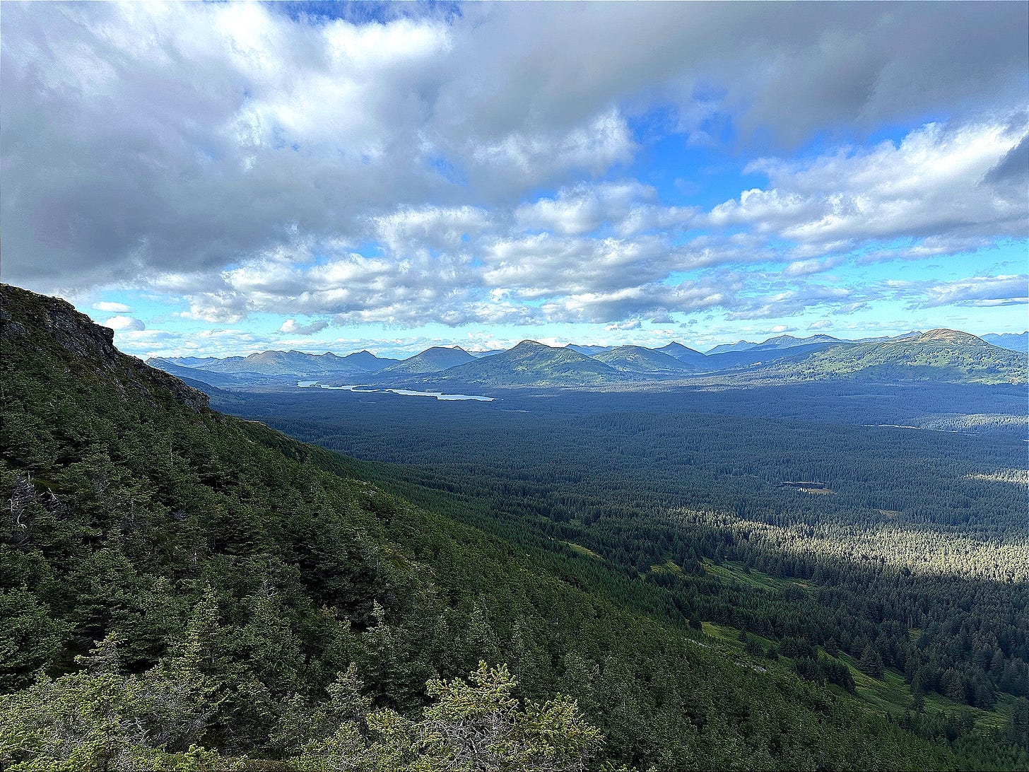 Panoramic view of the spruce-laden northern section of Kodiak Island.